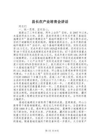 县长在产业培育会致辞