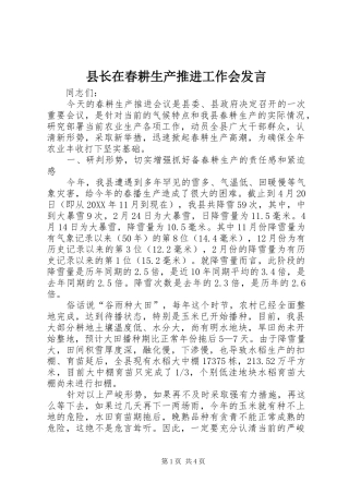 县长在春耕生产推进工作会讲话