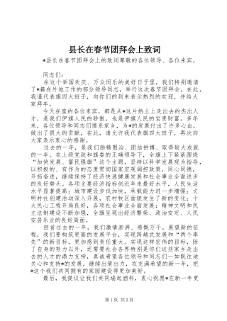 县长在春节团拜会上致词