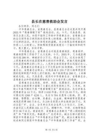 县长在慈善救助会讲话