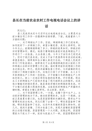 县长在当前农业农村工作电视电话会议上的致辞