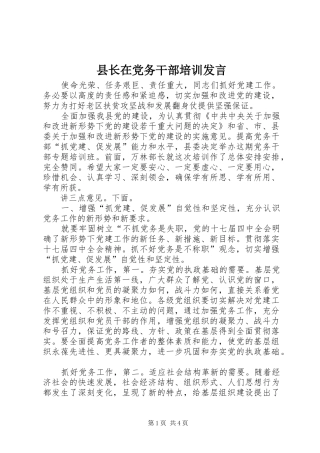 县长在党务干部培训讲话