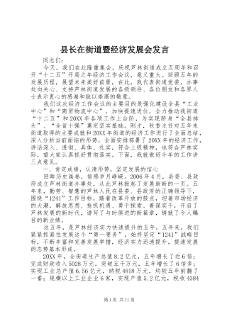 县长在街道暨经济发展会讲话