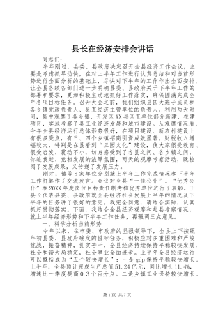县长在经济安排会致辞