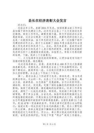 县长在经济表彰大会讲话