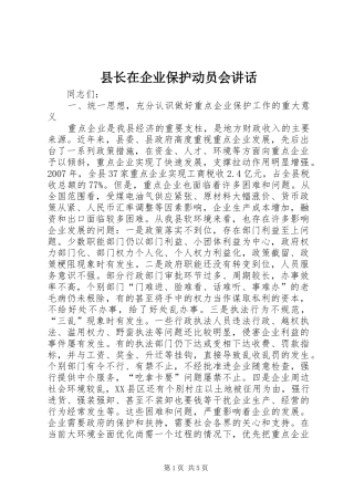 县长在企业保护动员会致辞