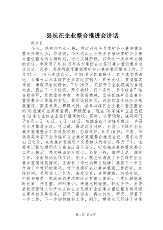 县长在企业整合推进会致辞