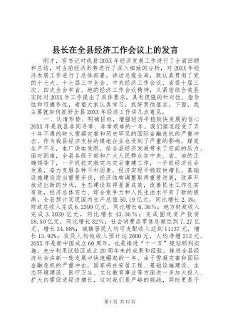 县长在全县经济工作会议上的发言