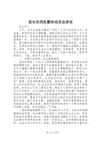 县长在四乱整治动员会致辞