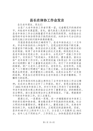 县长在体协工作会讲话