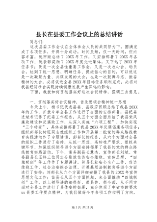 县长在县委工作会议上的总结致辞