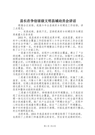 县长在争创省级文明县城动员会致辞