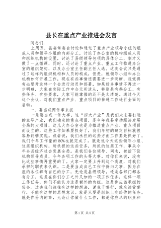 县长在重点产业推进会讲话
