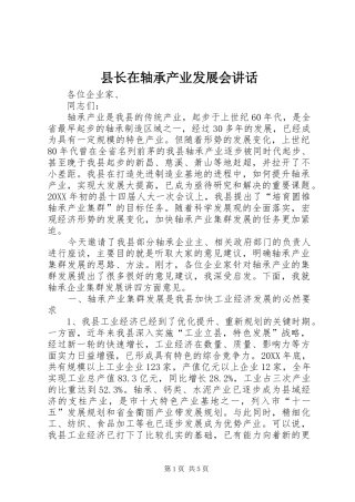 县长在轴承产业发展会致辞