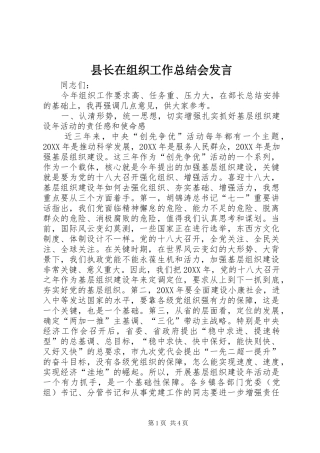 县长在组织工作总结会讲话