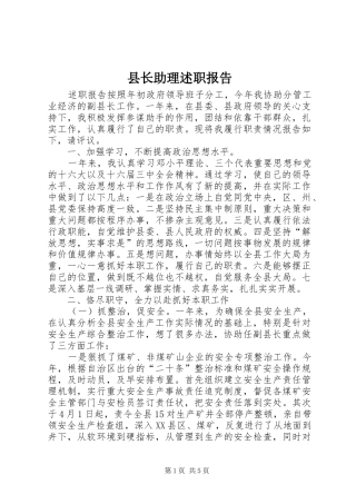 县长助理述职报告