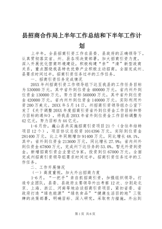 县招商合作局上半年工作总结和下半年工作计划
