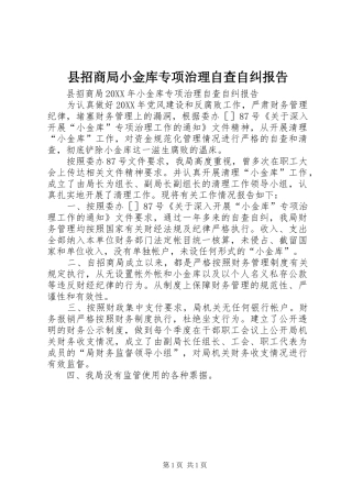 县招商局小金库专项治理自查自纠报告