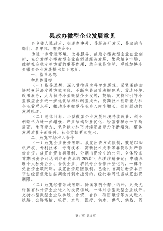 县政办微型企业发展意见