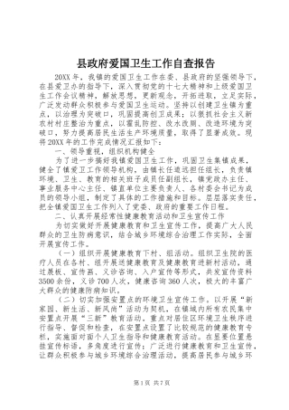 县政府爱国卫生工作自查报告