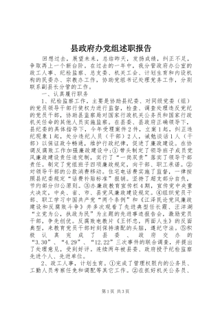 县政府办党组述职报告