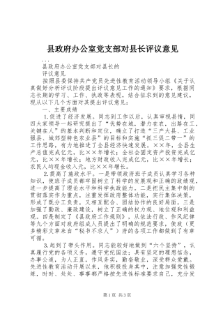 县政府办公室党支部对县长评议意见