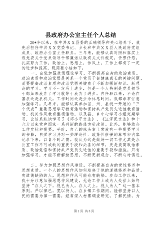 县政府办公室主任个人总结