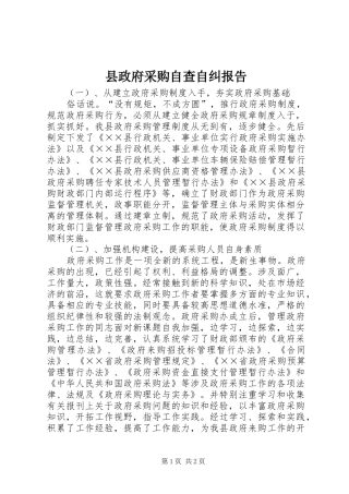 县政府采购自查自纠报告