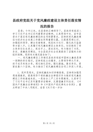 县政府党组关于党风廉政建设主体责任落实情况的报告