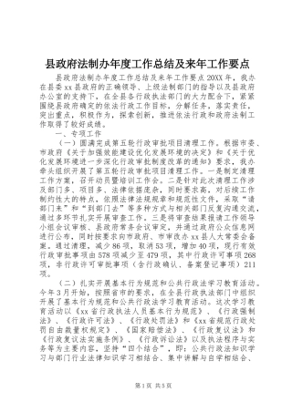县政府法制办年度工作总结及来年工作要点