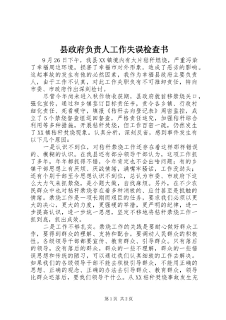 县政府负责人工作失误检查书
