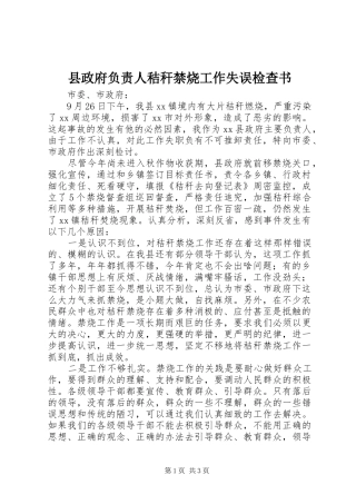 县政府负责人秸秆禁烧工作失误检查书
