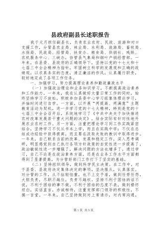 县政府副县长述职报告