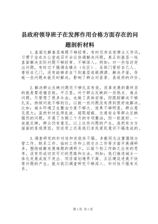 县政府领导班子在发挥作用合格方面存在的问题剖析材料