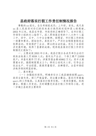 县政府落实打假工作责任制情况报告