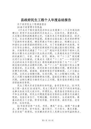 县政府民生工程个人年度总结报告