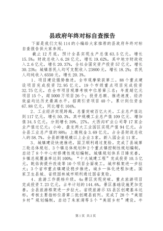 县政府年终对标自查报告