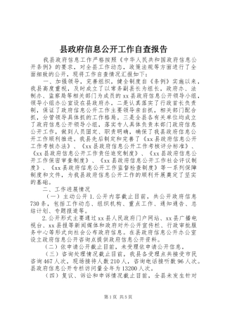 县政府信息公开工作自查报告