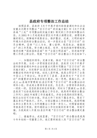 县政府专项整治工作总结
