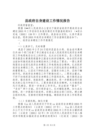 县政府自身建设工作情况报告