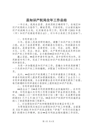 县知识产权局全年工作总结