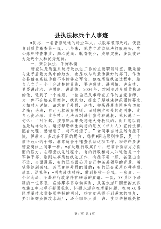 县执法标兵个人事迹