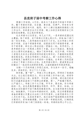 县直班子届中考察工作心得