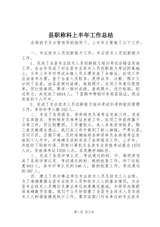 县职称科上半年工作总结