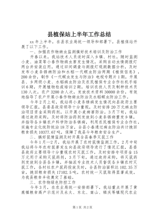 县植保站上半年工作总结