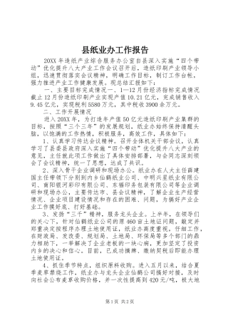 县纸业办工作报告
