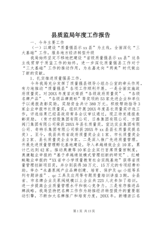 县质监局年度工作报告