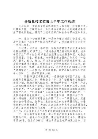 县质量技术监督上半年工作总结