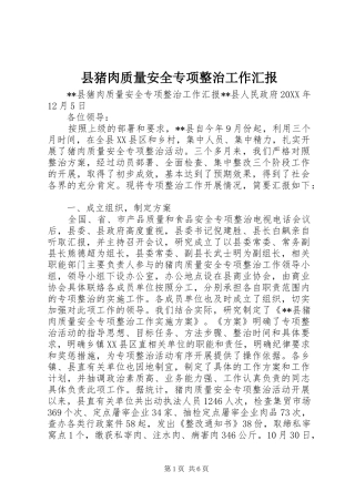 县猪肉质量安全专项整治工作汇报