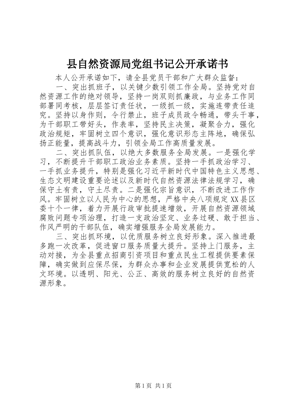 县自然资源局党组书记公开承诺书_第1页